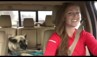 Gotta Love Dogs!