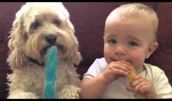 Enjoying a Cool Summer Treat