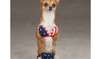 Happy Independence Day Everyone!