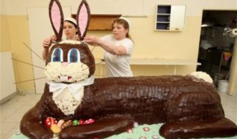 Enormous Easter Bunny Cake~EEKS!