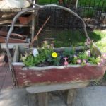 Any Old Bucket Will Work: Planting Summer Flowers Containers