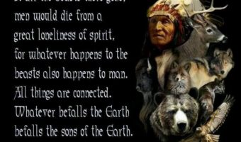 Famous Native American Proverbs To Enjoy